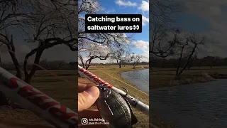 Catching bass on saltwater lures! #fishing #fish #challenge #shorts