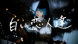 白い恋人達 / 桑田佳祐 Cover by 野田愛実(NodaEmi)