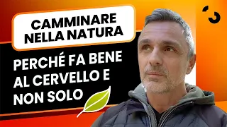 Camminare nella natura perché fa bene al cervello e non solo | Filippo Ongaro