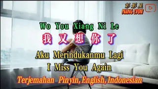 Wo You Xiang Ni Le 我又想你了 Terjemahan Indonesia Pinyin English