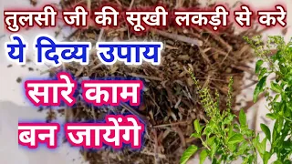 तुलसी जी की सूखी लकड़ी से करे ये दिव्य उपाय सारे काम बन जायेंगे | Tulsi ke Upay | Tulsi Lakdi ke Upay