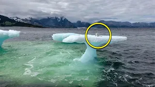 Was ein Fischer auf einem Eisberg treibend fand, schockierte alle!