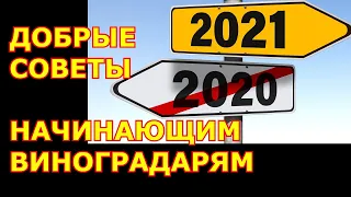 ч.1. Добрые советы начинающим виноградарям, 1-я серия