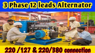 3 Phase 12 wires leads Generator Alternator  wiring Connection series & parallel star Explained