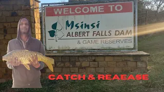 Catch and Release At Albert Falls Dam Carp Fishing