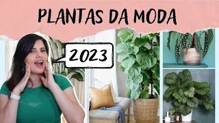 7 PLANTAS DA MODA PARA DECORAR EM 2023 - VIROU FEBRE NAS REDES SOCIAIS