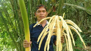 Manggar/mancung masak kare dan pecak