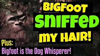 A Hair-Sniffing, Neck Snuffling Sasquatch - plus - Bigfoot Speaks to Dogs