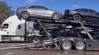 Cottrell 8 car trailer loading