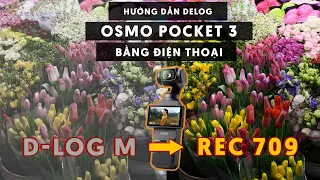 Hướng dẫn chỉnh màu D-Log M của DJI Osmo Pocket 3 bằng điện thoại, iPad