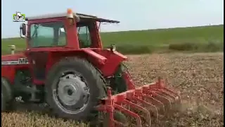 Stoppelland lostrekken met de Massey Ferguson 590