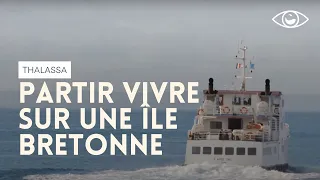 Tout quitter et partir vivre sur l'île d'Ouessant (Bretagne) - Thalassa