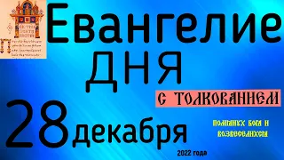 Евангелие дня с толкованием 28 декабря  2022 года 90 псалом