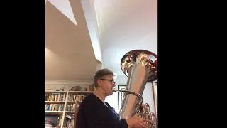 After the unboxing: Schiller CC tuba