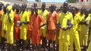 Prison officials disagree with MPs on conjugal rights for prisoners