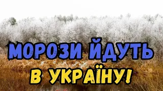 Перші заморозки йдуть в Україну: синоптик назвав дати