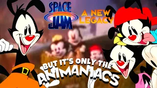 Space Jam: A New Legacy But It’s Only The Animaniacs @eganimation442