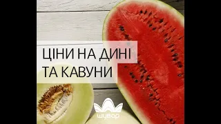 Ціни на дині та кавуни на "Шуварі", 27.07.20