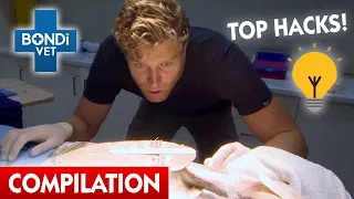 Vet's Ingenious Solutions 💡 | Bondi Vet Compilation | Bondi Vet