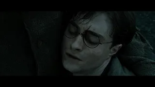 Harry Potter a Relikvie Smrti 2 Část  Nevil Ještě není Konec