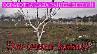 #352 Весенняя обработка сада/Это важно сделать в саду/как обрабатывать фруктовые деревья весной