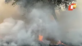 Farmer start burning stubble at village in Punjab’s Bhathinda