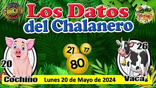 ENTÉRATE CON QUE TRIPLE SE GANA HOY y LA TRIPLETA EN LOTTO * EL CHALANERO * LUNES 20 DE MAYO DE 2024