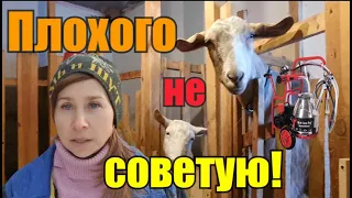 Выбираете чем доить коз?//Подскажу чем лучше