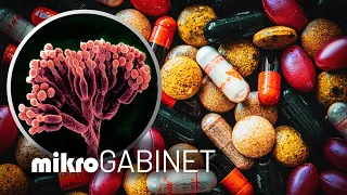 Antybiotyki | mikroGABINET