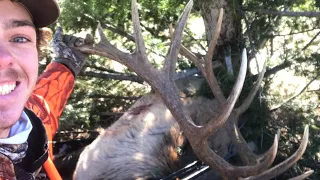 Montana Elk Hunting 2020