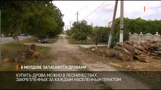 В Молдове запасаются дровами