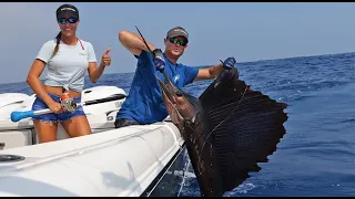 SAILFISH Madness ! Part 1