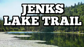 Hiking An Old Trail To Jenks Lake | Lakeside Lunch & Fishing | 4K