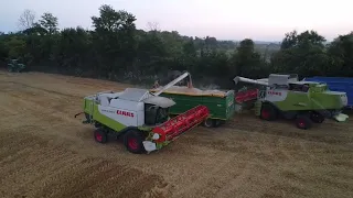 KELLYS / 2 Claas Lexions / Harvest 2022 /HOLOHAN AGRI VIDEOS