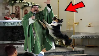 He was about to become a Priest but the dog sees something unusual about Him and stops the ceremony