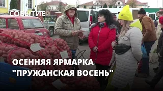 Осенняя ярмарка "Пружанская восень"