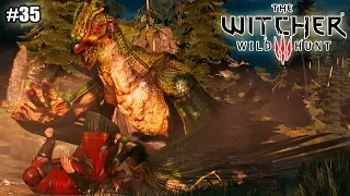 Ведьмак 3: Дикая Охота ( The Witcher 3: Wild Hunt) прохождение (35 серия) (1080р)