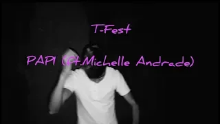 T-Fest - PAPI (ft.Michelle Andrade) "точно не породия"