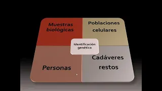 Herramientas genéticas para la identificación humana