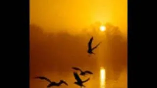 Canticle 158- Dawn...