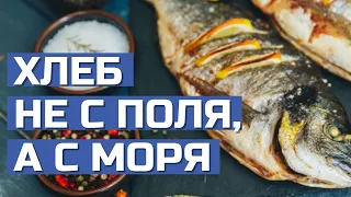 Промысловая поморская кухня и ее особенности