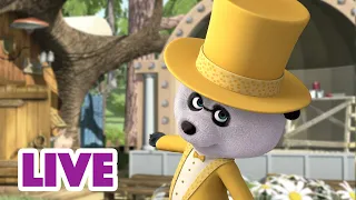 🔴 LIVE! Masha e Orso 👱‍♀️🐻 Che storia! 🏒🐰 Cartoni animati per bambini