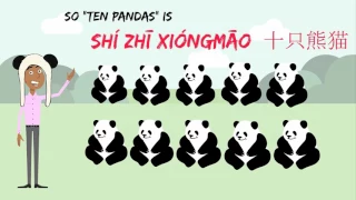 Counting Animals in Mandarin