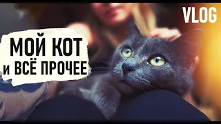 У МЕНЯ ПОЯВИЛСЯ КОТ! Деревня. ДР Мужа. Подарки. Прокол ушей. VLOG  - Senya Miro