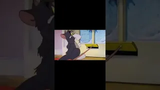 Tom and Jerry Cartoon Shorts Best Moments