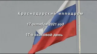 Видео 17 скаковой день   17 10 2021г  Краснодарский ипподром