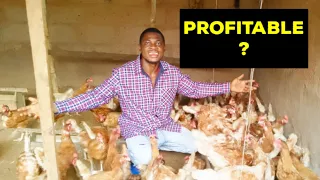 How much profit you can earn weekly from 100 to 200 egg layers farming|chicken farming.