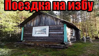 🏕 ПОЕЗДКА В ЛЕС НА ИЗБУ/ РЫБАЛКА /ОСЕНЬ 2019