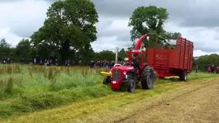 Massey ferguson 35 6 cylinder