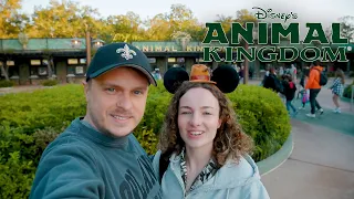 Animal Kingdom 2024 | Walt Disney World